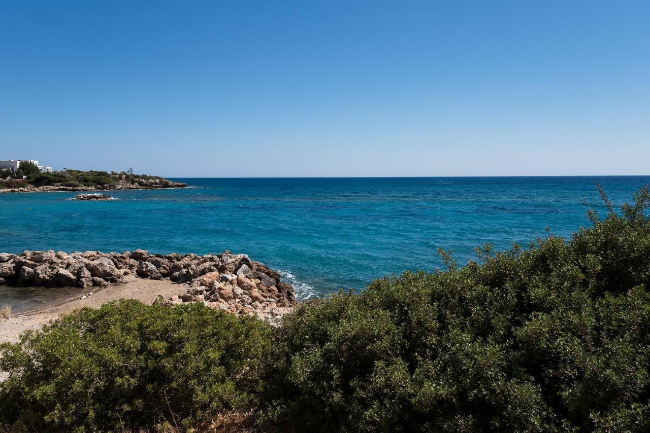 Emerald Dawn Villa Pefki Dış mekan fotoğraf